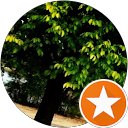 Alex Xu profile picture